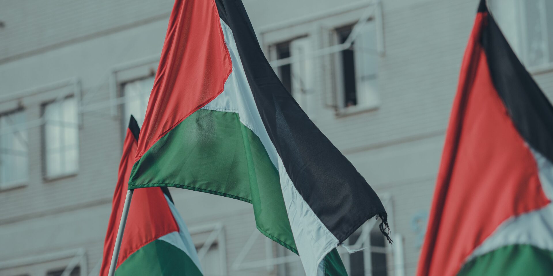 فلسطين